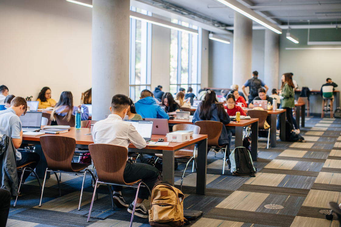 student studying in library