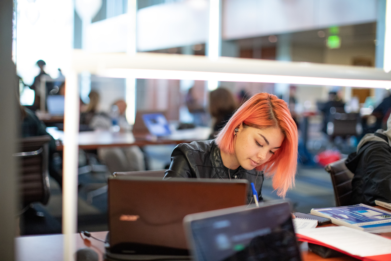 student studying in library