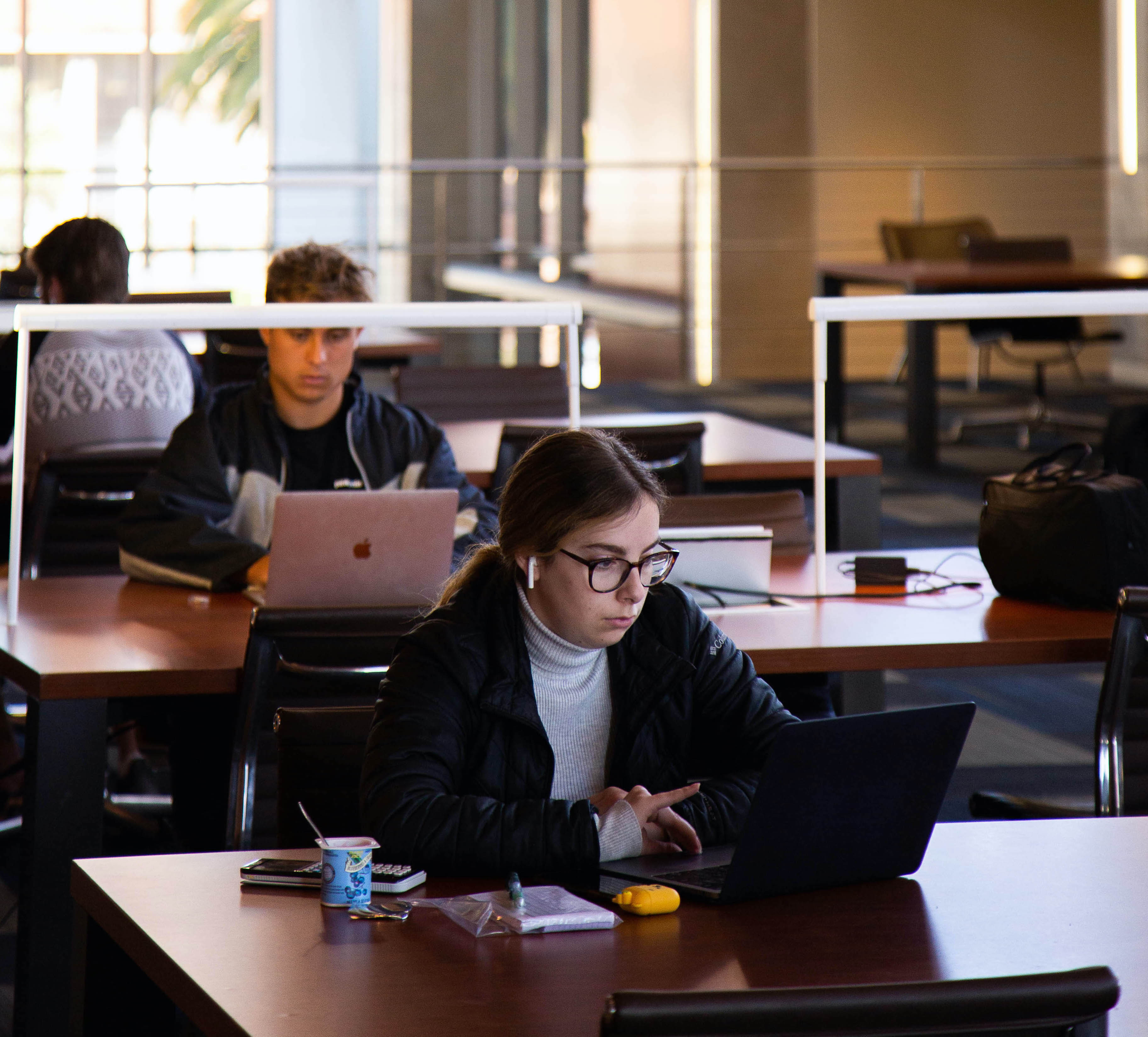 students on laptops in library