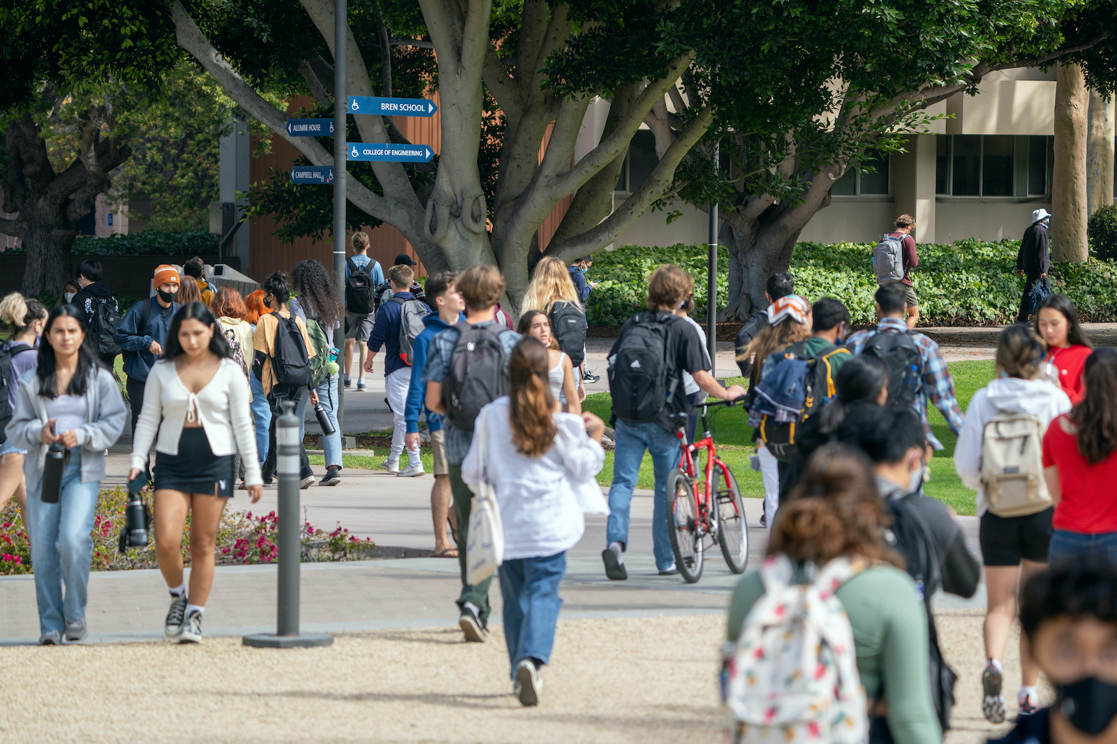 students walking around campus