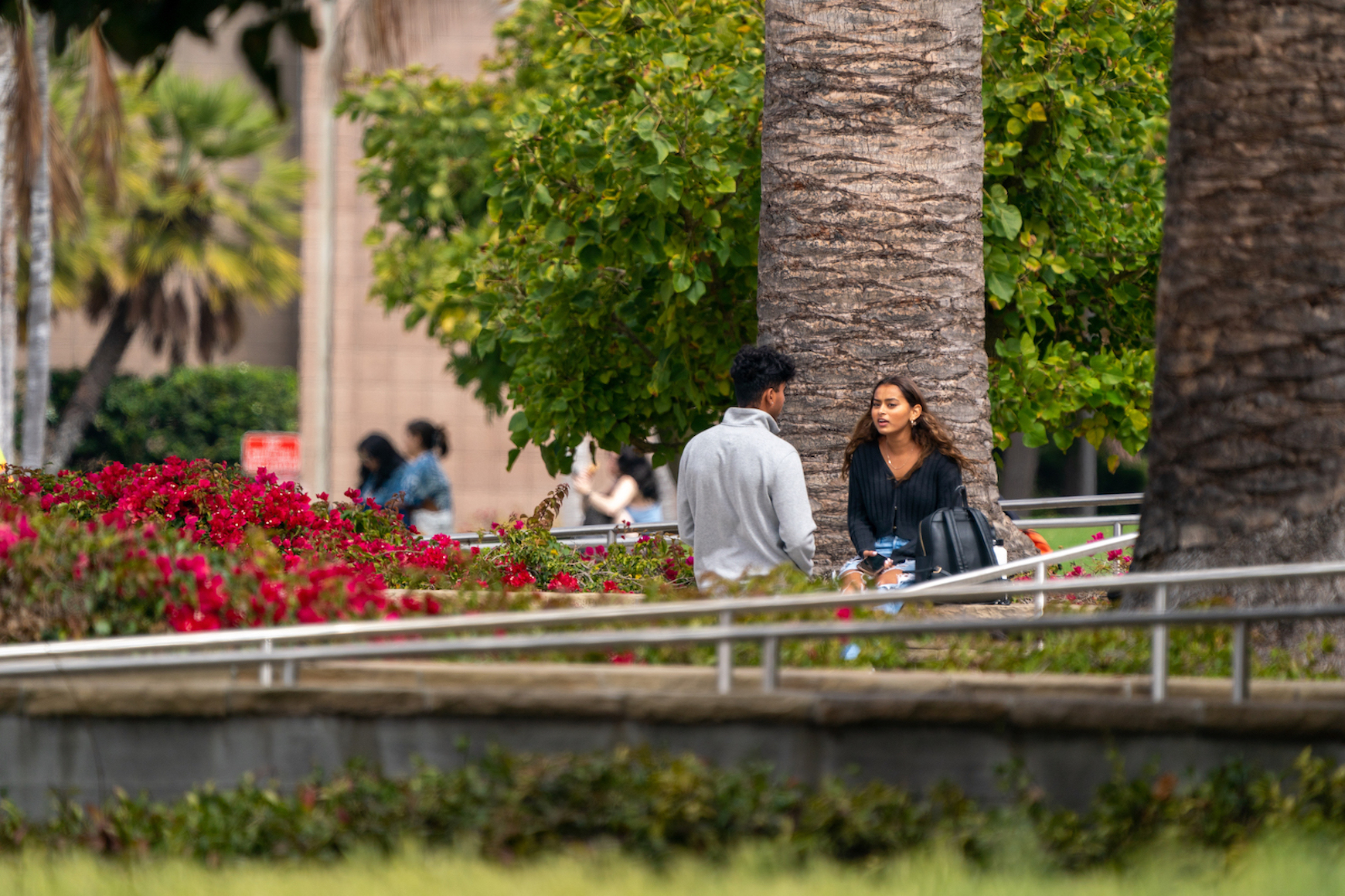 students talking outside library