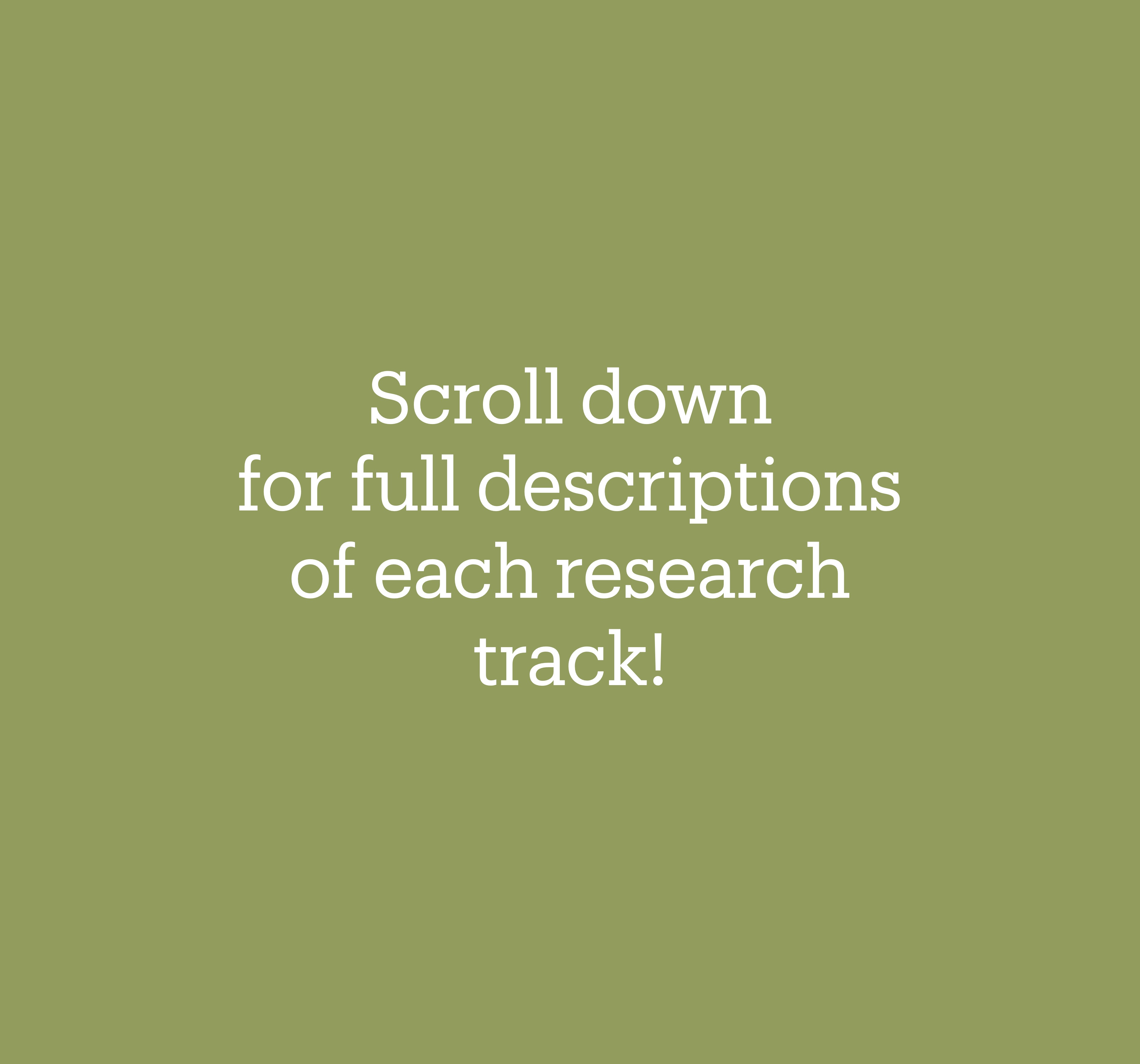 Scroll down for full descriptions of each research track!