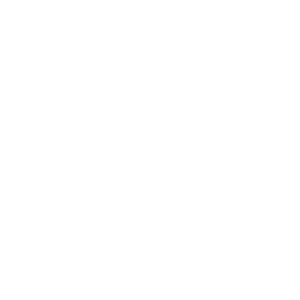 pig icon