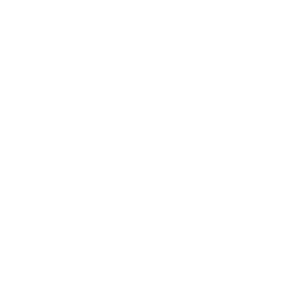 sun icon